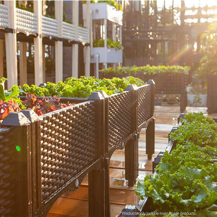 NNEAGS 2X 80cm Raised Planter Box Vegetable Herb Flower Outdoor Plastic Plants Garden Bed with Legs Deepen-3