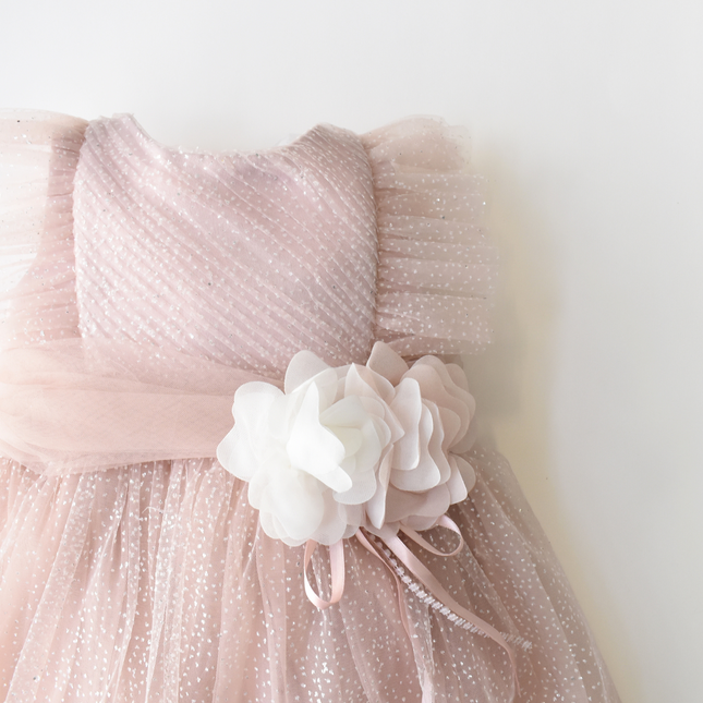 Sweet Sophia Baby Dress