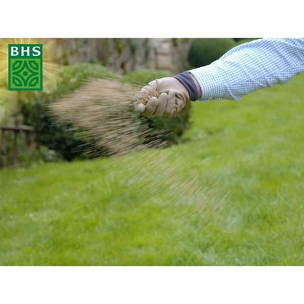 Seeds BHS 3 Kg-1