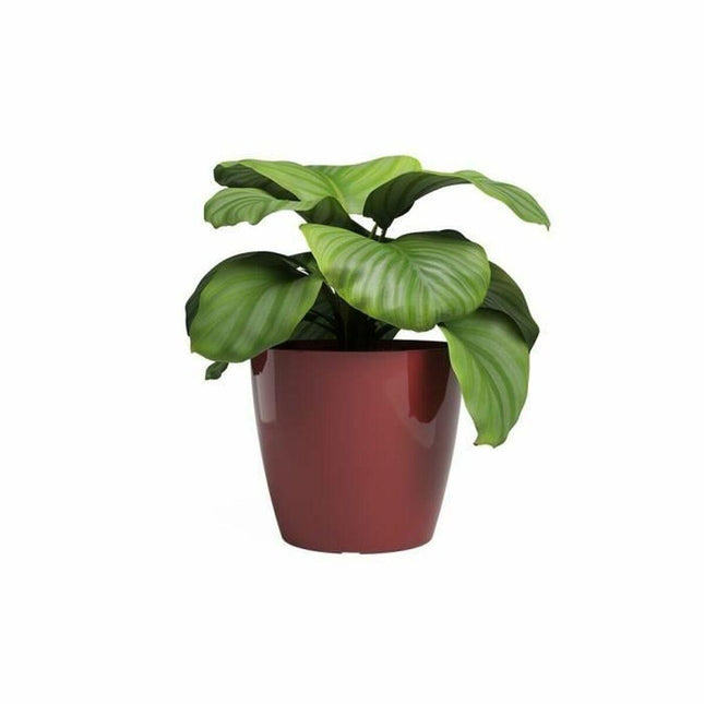 Planter Artevasi SAN REMO Dark Red Ø 36 cm (4 Pieces)-1