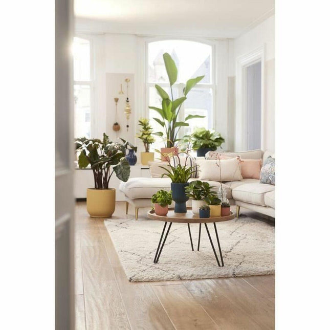 Plant pot Elho   Ø 25 cm Circular Dark blue Plastic-1