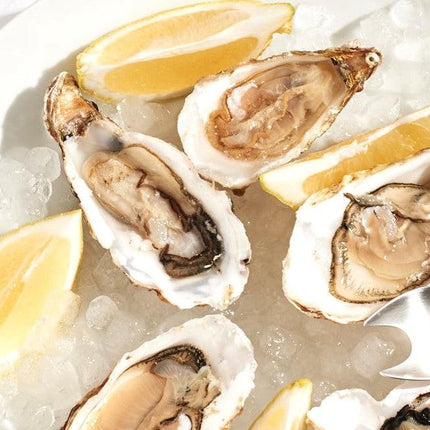 STERNSTEIGER OYSTER CRUSHERS