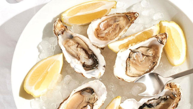 STERNSTEIGER OYSTER CRUSHERS