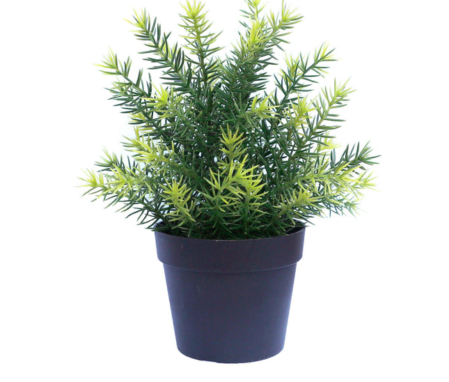 NNEDSZ Small Potted Artificial Native Grass Plant UV Resistant 20cm-0