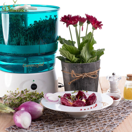 Seed sprouter automatic machine Germoglio