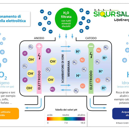 Purifier&Ionizer of water LifeEnergy WATER