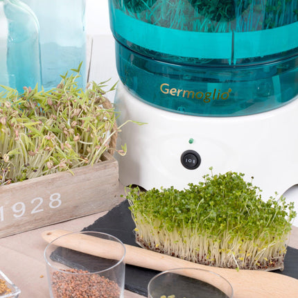 Seed sprouter automatic machine Germoglio